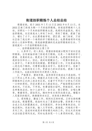 2024年街道挂职锻炼个人总结总结