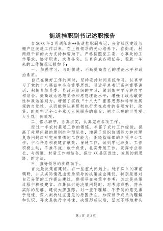 2024年街道挂职副书记述职报告
