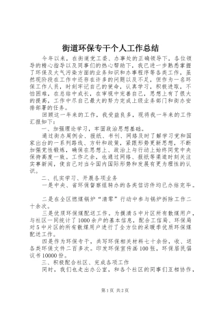 2024年街道环保专干个人工作总结