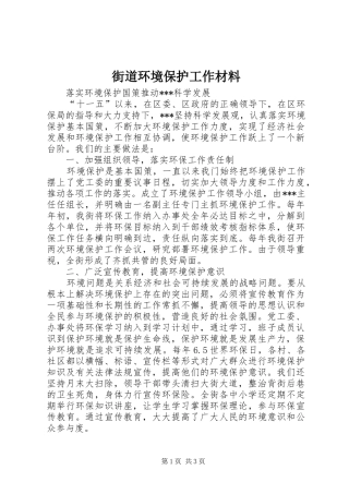 2024年街道环境保护工作材料