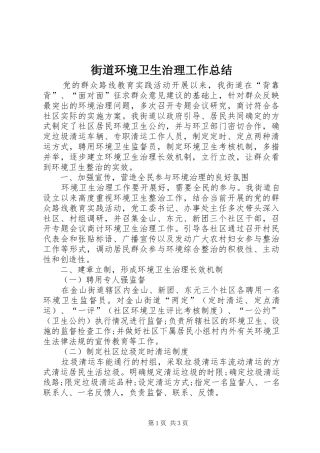 2024年街道环境卫生治理工作总结
