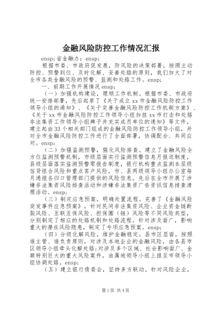 2024年金融风险防控工作情况汇报