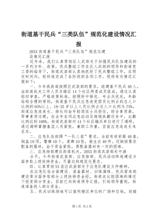 2024年街道基干民兵三类队伍规范化建设情况汇报