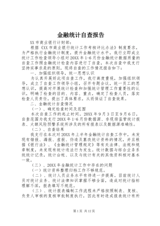 2024年金融统计自查报告