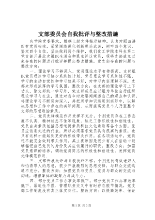 2024年支部委员会自我批评与整改措施