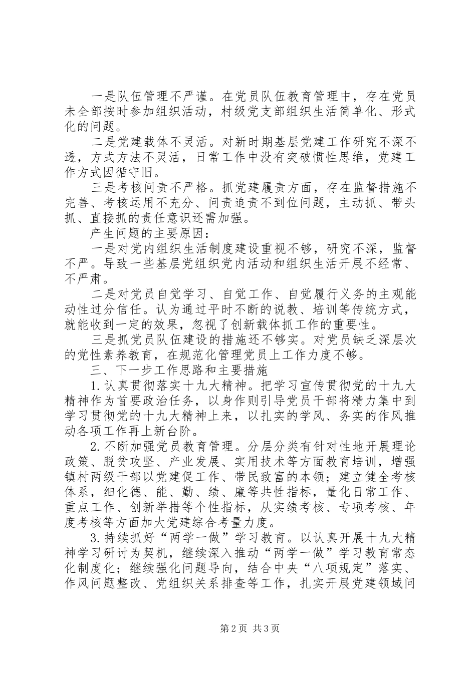 2024年支部支部书记履职述职报告_第2页