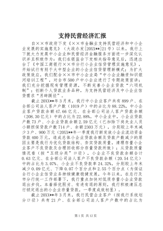 2024年支持民营经济汇报