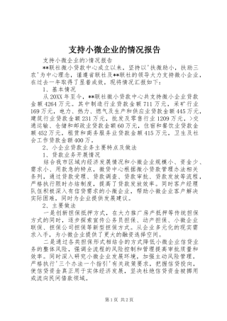 2024年支持小微企业的情况报告