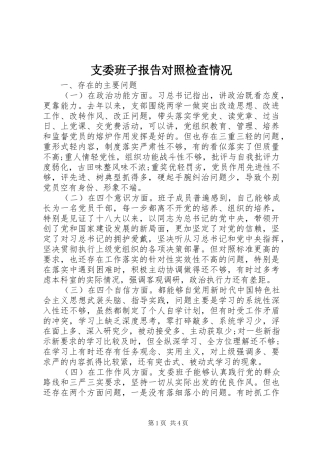 2024年支委班子报告对照检查情况