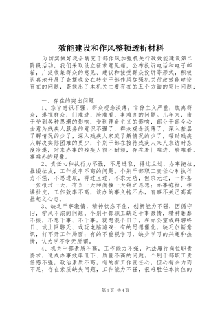 2024年效能建设和作风整顿透析材料