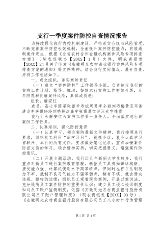 2024年支行一季度案件防控自查情况报告