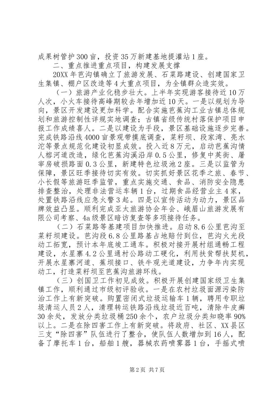 2024年乡镇上半年各项工作总结下半年工作计划_第2页