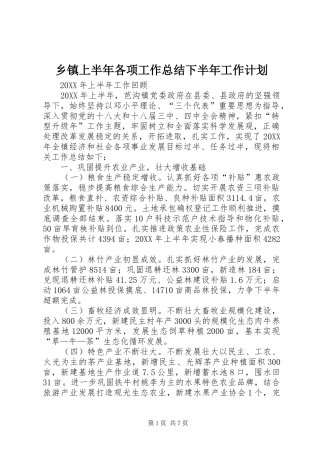 2024年乡镇上半年各项工作总结下半年工作计划