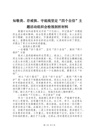 2024年知敬畏存戒惧守底线坚定四个自信主题活动组织会检视剖析材料