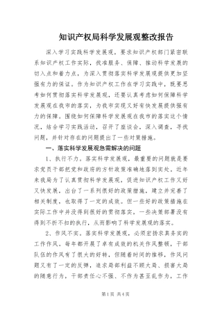 2024年知识产权局科学发展观整改报告