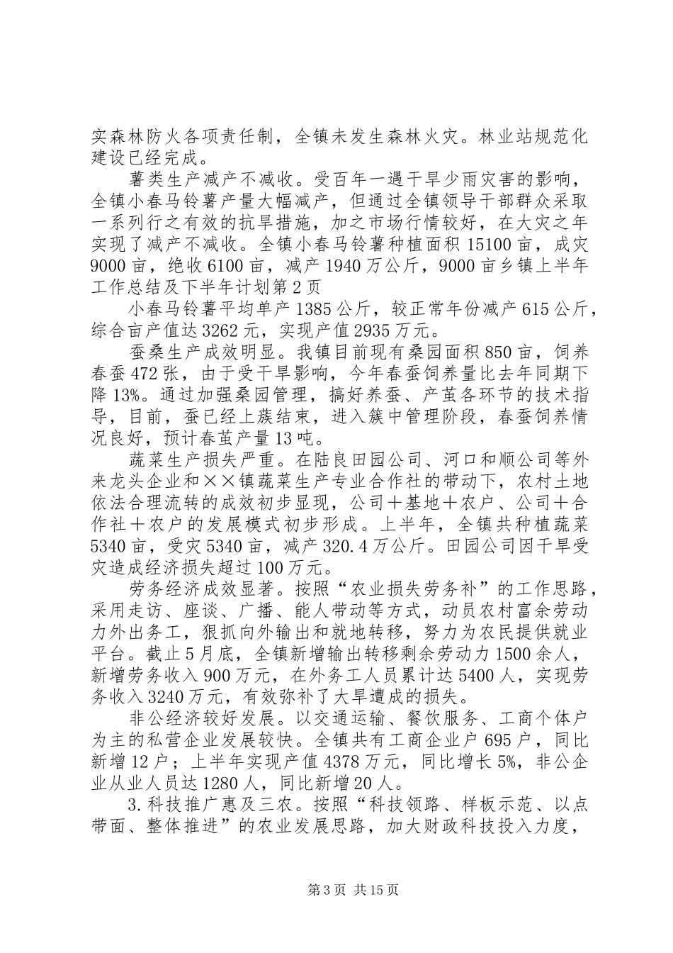 2024年乡镇上半年工作总结及下半年计划_第3页