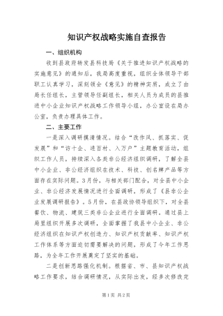 2024年知识产权战略实施自查报告