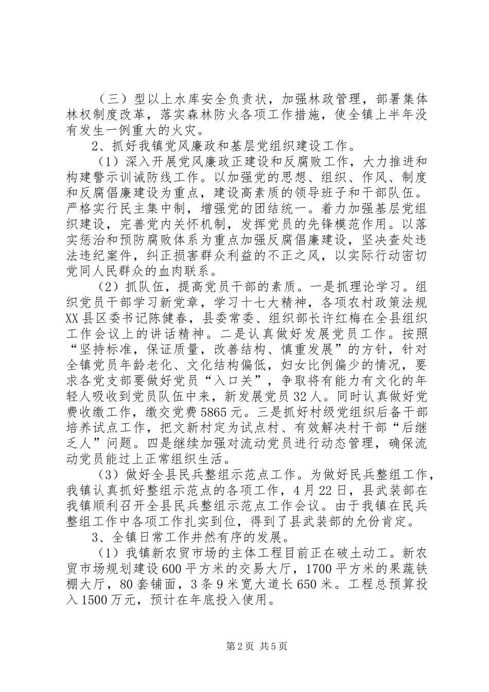 2024年乡镇上半年经济建设工作总结_第2页