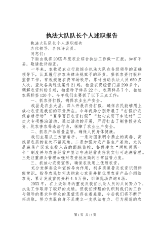 2024年执法大队队长个人述职报告