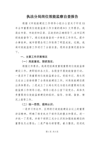 2024年执法分局岗位效能监察自查报告