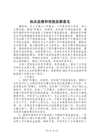 2024年执法监察和效能监察意见