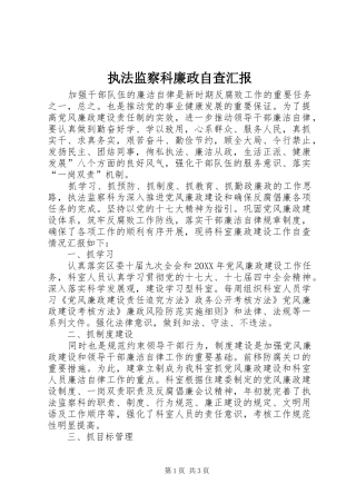 2024年执法监察科廉政自查汇报