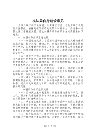 2024年执法局自身建设意见