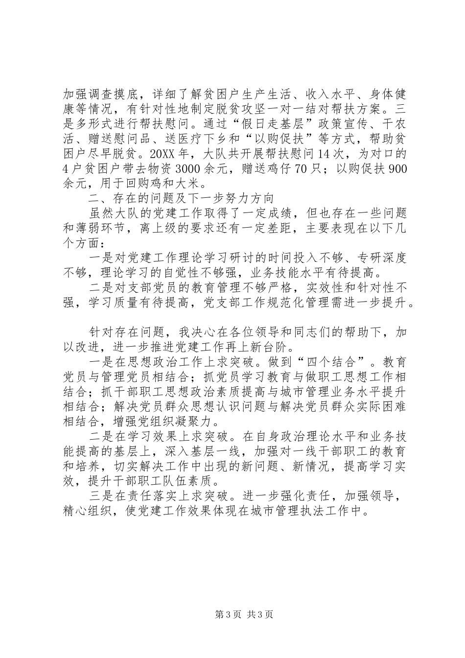 2024年执法支队支部书记述职报告_第3页