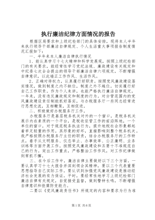 2024年执行廉洁纪律方面情况的报告