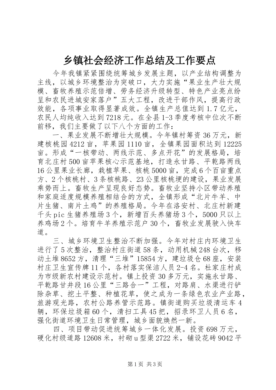 2024年乡镇社会经济工作总结及工作要点_第1页