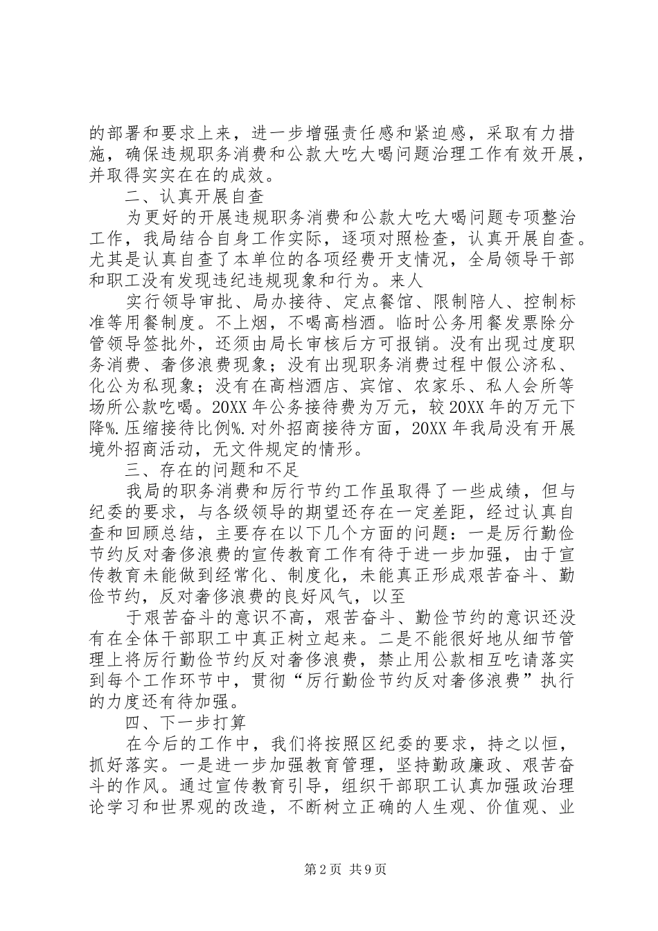 2024年职务消费自查报告_第2页