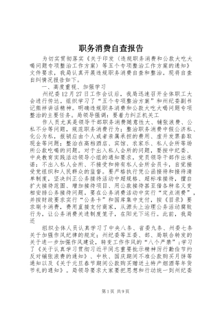 2024年职务消费自查报告