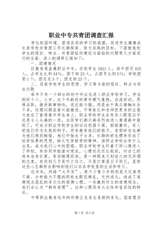 2024年职业中专共青团调查汇报