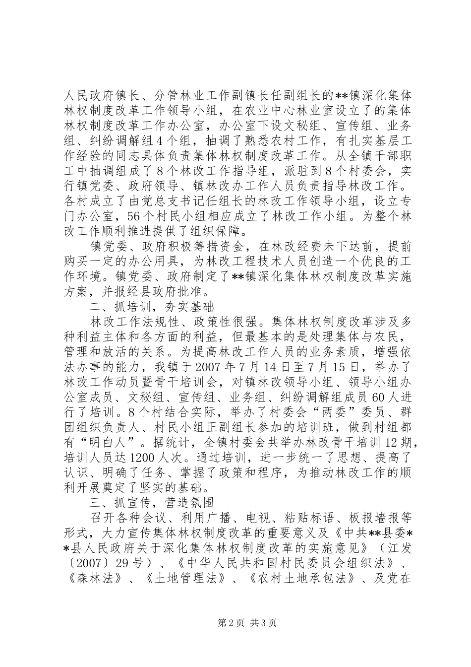 2024年乡镇深化集体林权制度主体改革工作总结_第2页