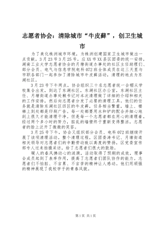 2024年志愿者协会清除城市牛皮藓，创卫生城市