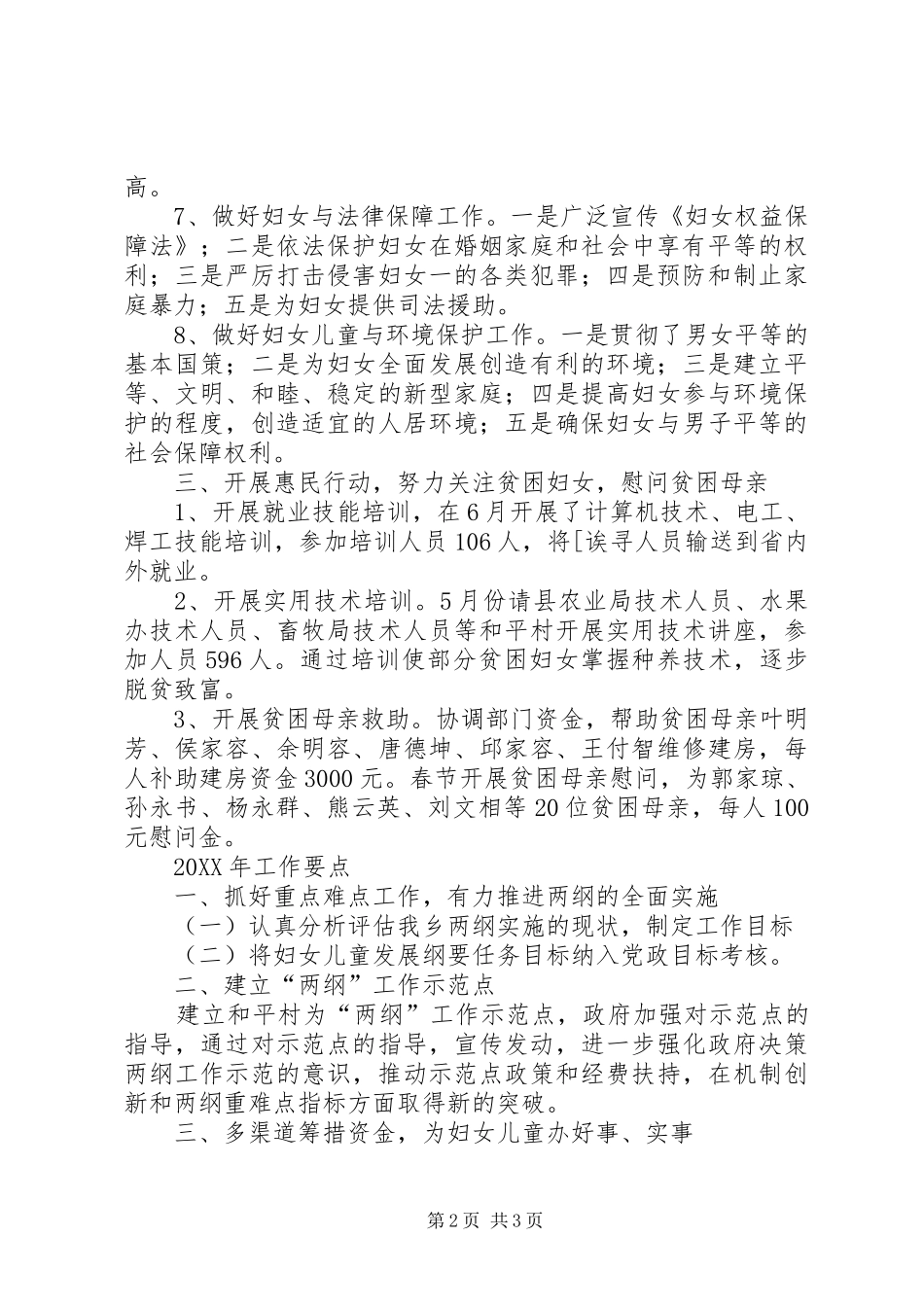 2024年乡镇实施两纲工作总结和工作要点_第2页