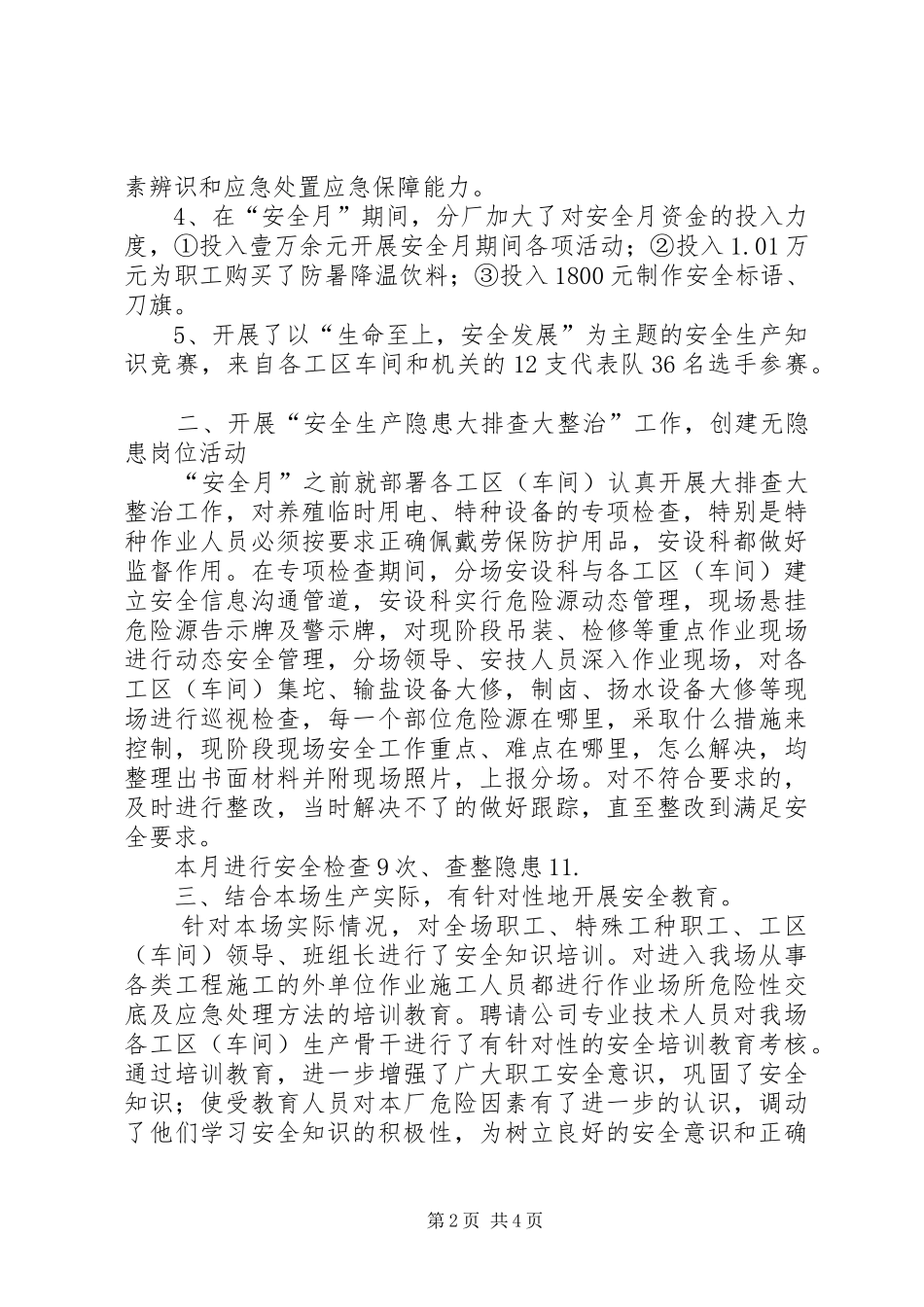 2024年制盐场安全生产工作总结_第2页