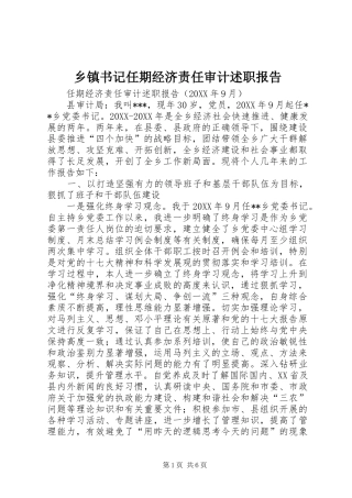 2024年乡镇书记任期经济责任审计述职报告