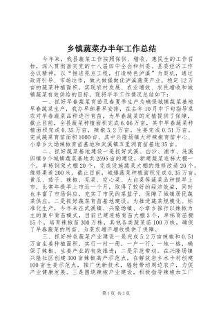 2024年乡镇蔬菜办半年工作总结