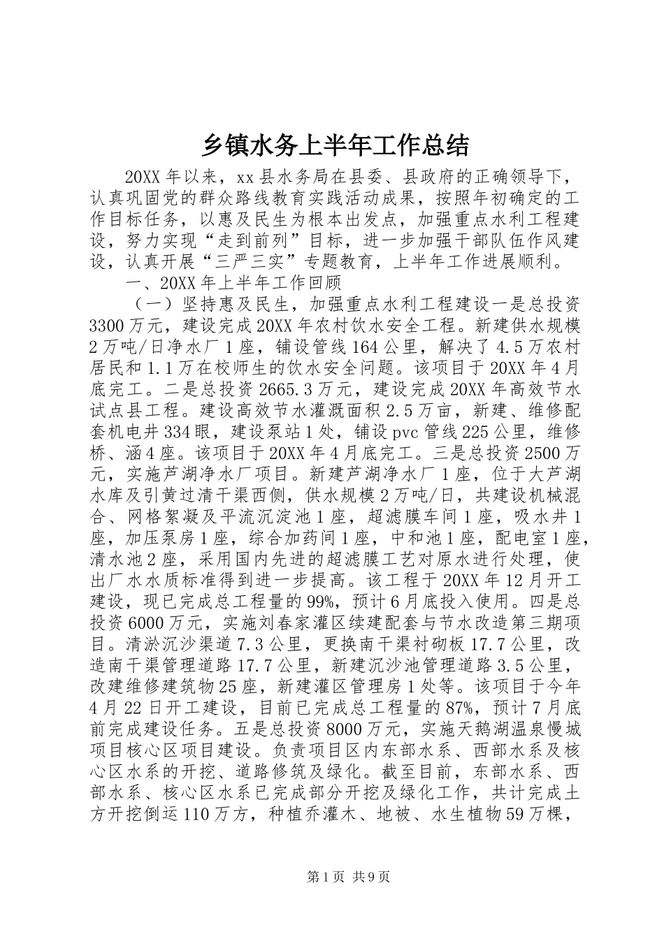 2024年乡镇水务上半年工作总结_第1页