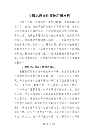 2024年乡镇思想文化宣传汇报材料
