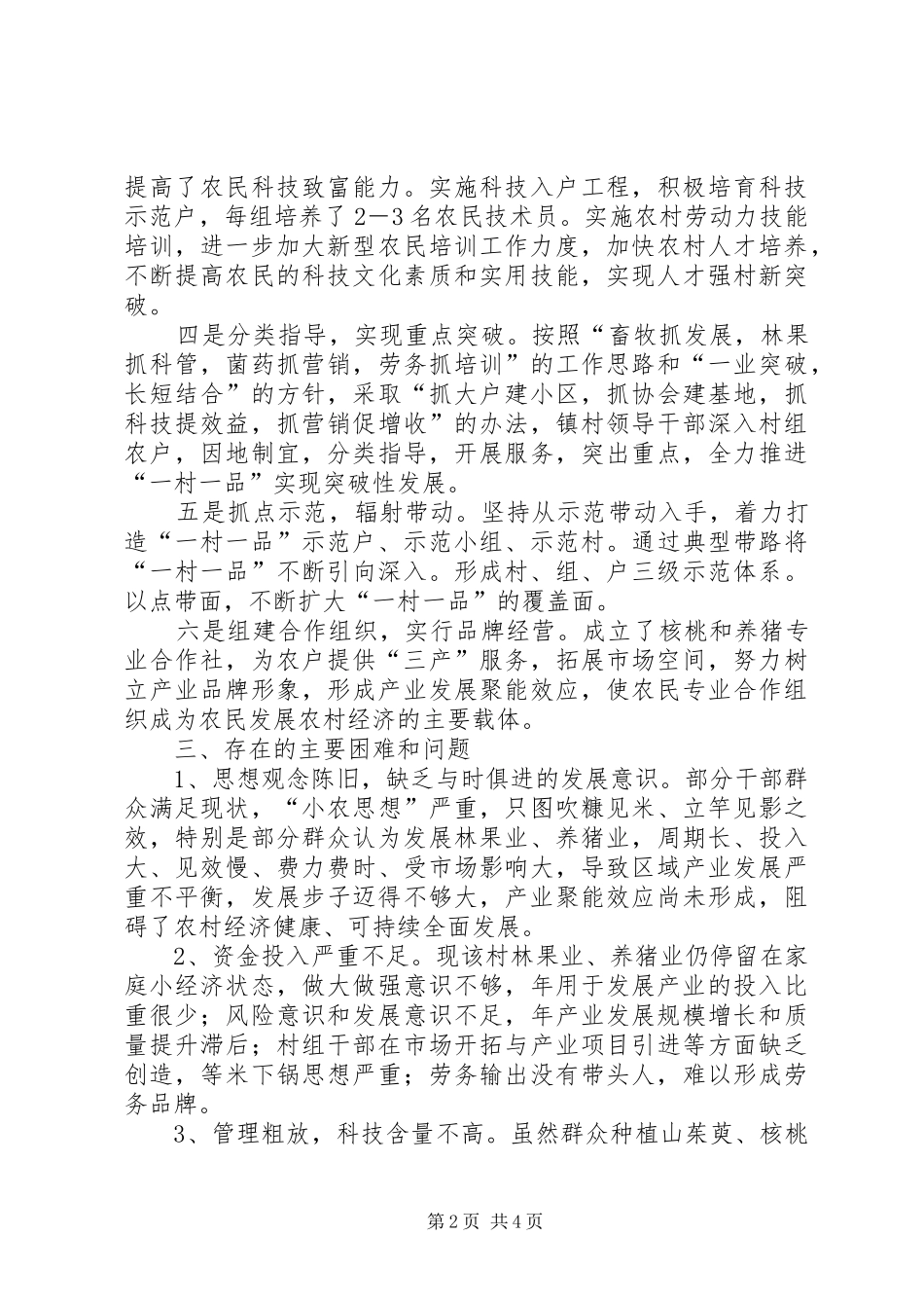 2024年乡镇寺坪村产业发展调研报告_第2页
