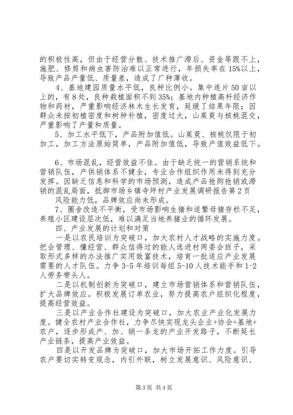2024年乡镇寺坪村产业发展调研报告_第3页