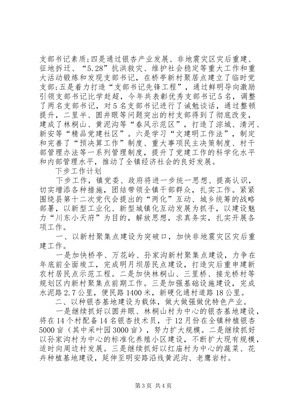 2024年乡镇统筹城乡战略工作总结_第3页