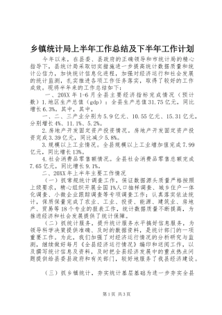 2024年乡镇统计局上半年工作总结及下半年工作计划