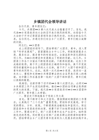 2024年乡镇团代会领导致辞