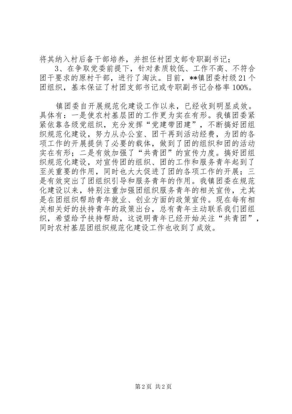 2024年乡镇团组织规范化建设工作总结_第2页