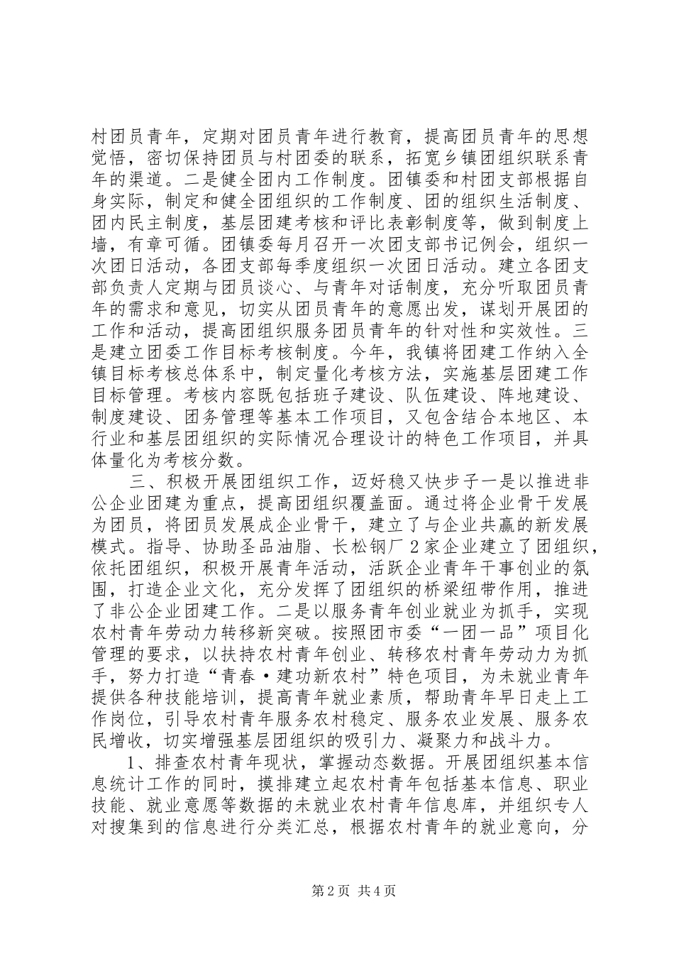 2024年乡镇团组织建设交流材料_第2页