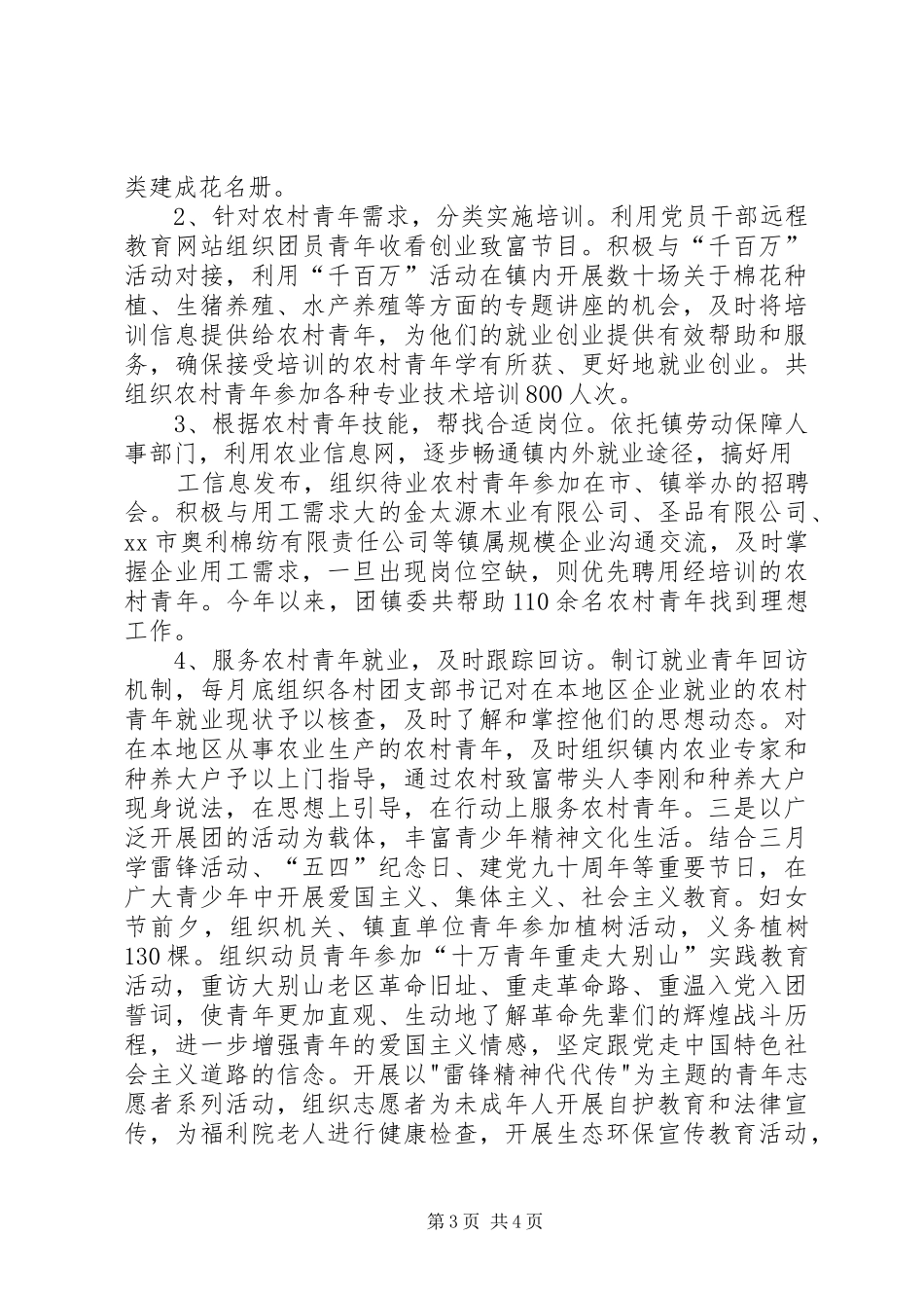 2024年乡镇团组织建设交流材料_第3页