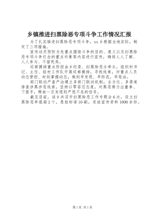 2024年乡镇推进扫黑除恶专项斗争工作情况汇报